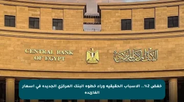 خفض 2%.. الأسباب الحقيقية وراء خطوة البنك المركزي الجديدة في أسعار الفائدة